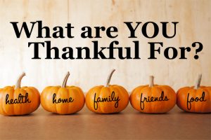 Thanksgiving Contest - What Are You Thankful For? Five orange pumpkins sit in a row in front of a distressed, wooden background.
