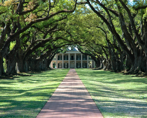 mansion in trees