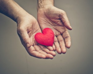 hands holding a heart hands holding a heart