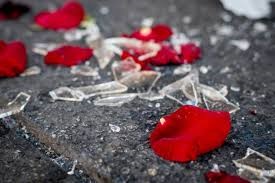 Broken glass, rose petals Broken glass, rose petals