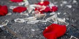 Widow-vday-picture-1 Widow-vday-picture-1